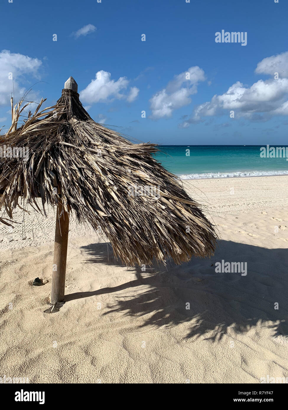 Aruba - tropical de playa de arena blanca con aguas aguamarinas - Divi Aruba Beach es un comienzo de vacaciones en el Caribe - Isla holandesa / Islas de Sotavento Foto de stock