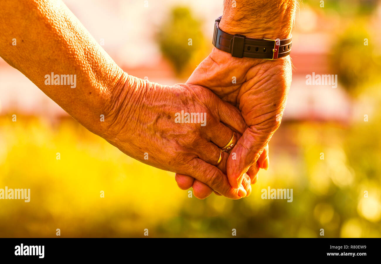 Captura recortada de la pareja de ancianos cogidos de la mano al atardecer al aire libre. Se centran en las manos Foto de stock