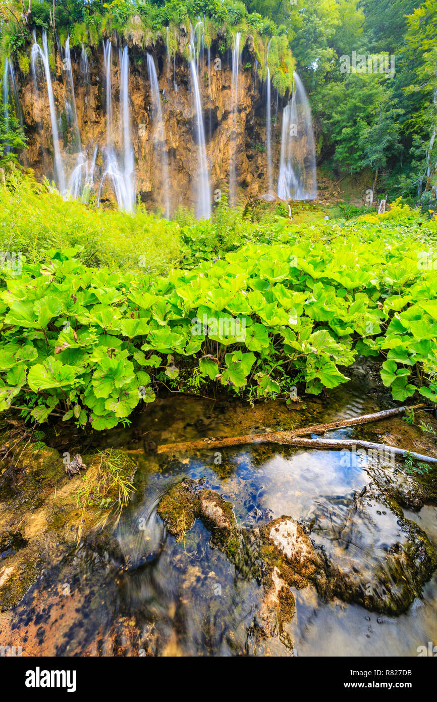 Cerca de cascadas de agua azul en un bosque verde durante el día, en verano.Los lagos de Plitvice, Croacia Foto de stock