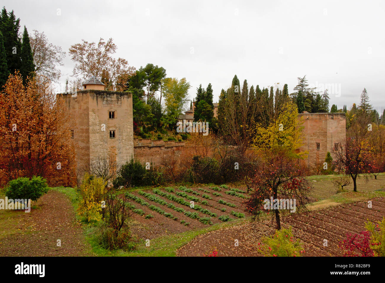 Jardines de la Alhambra castillo morisco, con muros fortificados con torres,  Andalucía, España Fotografía de stock - Alamy