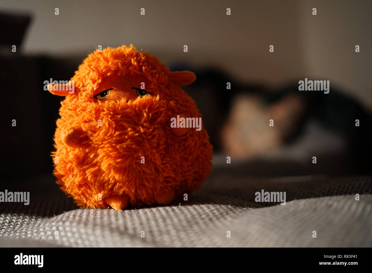 Una oveja de peluche en luz cálida con fondo borroso Foto de stock