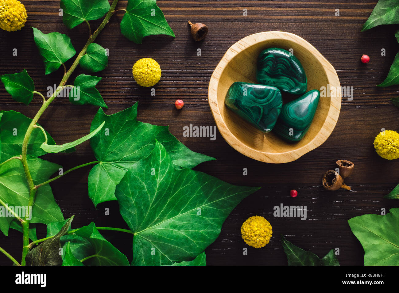 Malaquita pulida con Ivy y Craspedia en madera oscura Foto de stock