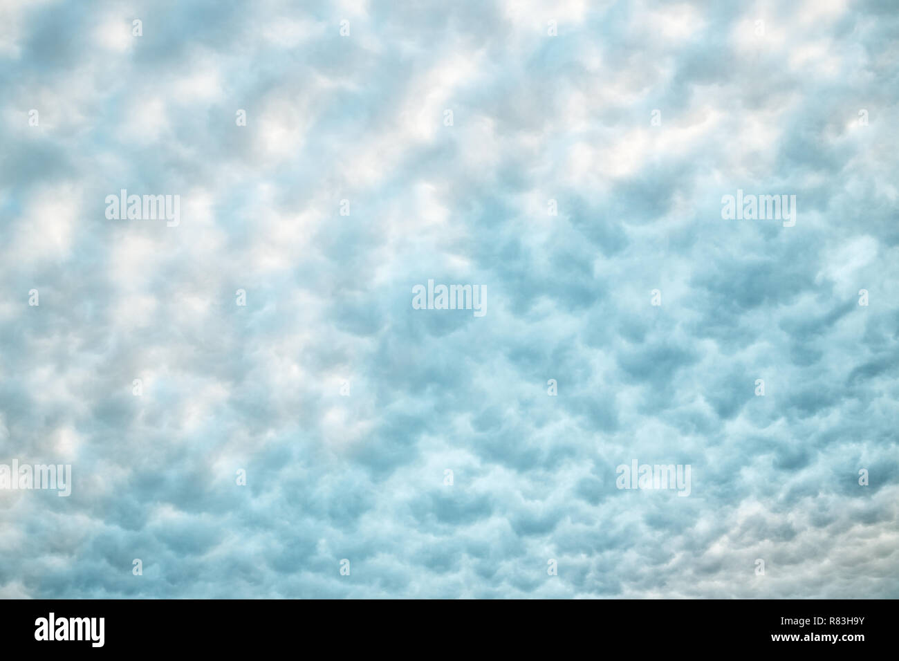 Cielo con esponjosas nubes blancas y azules de fondo abstracto. Cirrocúmulos textura. Color pastel. Foto de stock