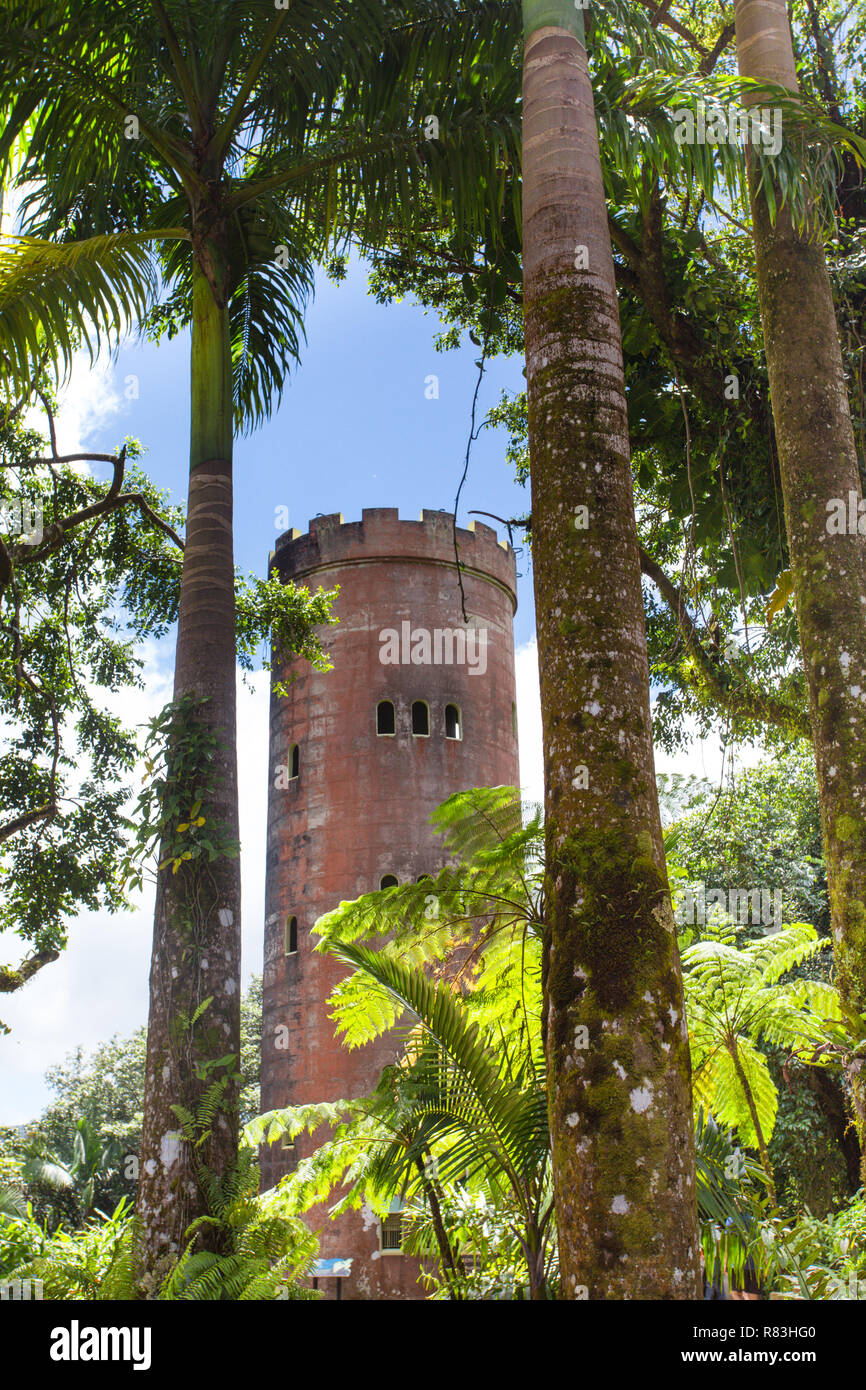 El Yunque Rainforest en Puerto Rico Yokahu torre de observación Foto de stock