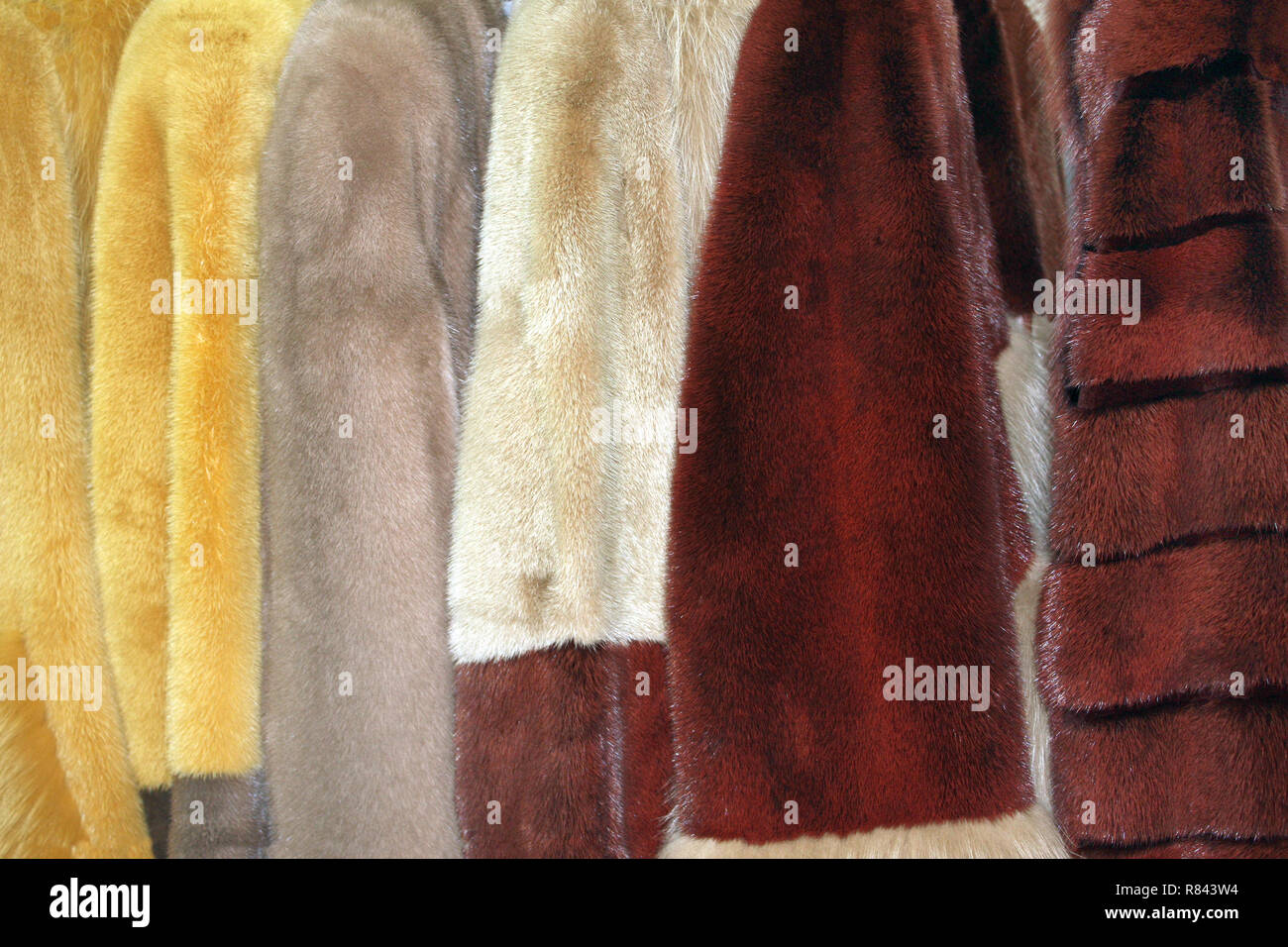 Fila de muchos abrigos de piel de distintos colores Fotografía de stock -