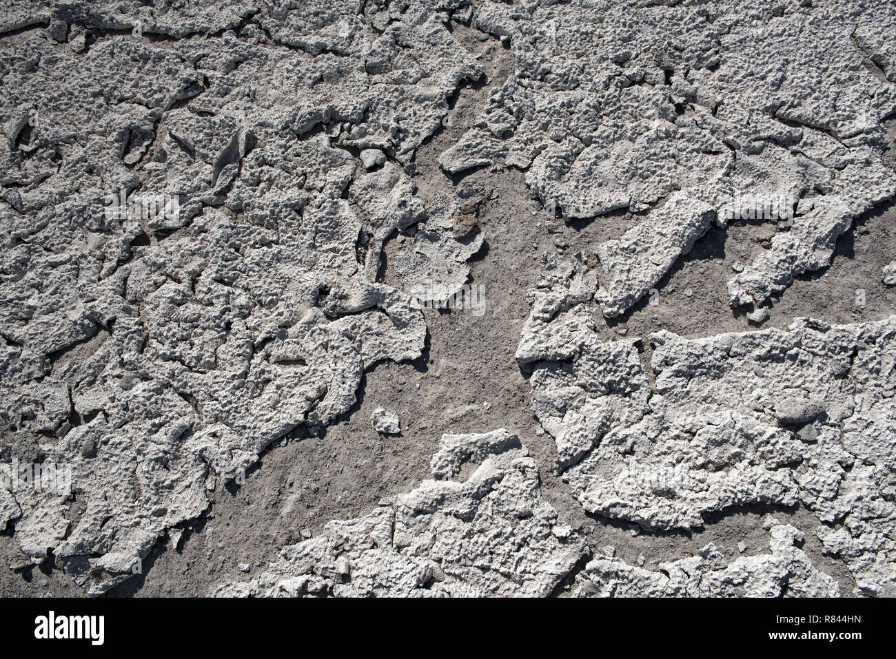 Lago seco con textura natural de roturas de arcilla y sal en la tierra causa de deshidratación durante un largo tiempo, el Parque Nacional de Nxai Pan, Botswana Foto de stock