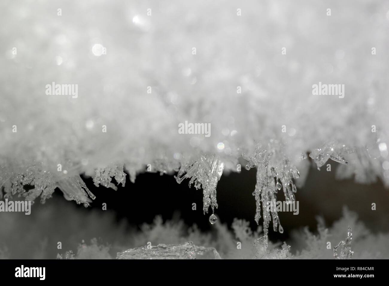 sesión altura Anoi Formación de escarcha en el congelador. Hielo cristalino blanco. Aberdeen,  Escocia, Reino Unido Fotografía de stock - Alamy