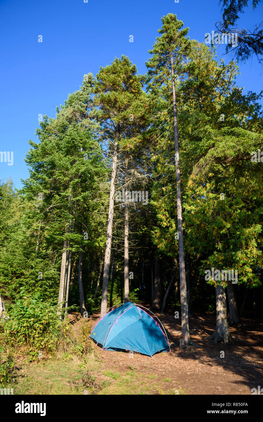 Campamento en provocando el lago East, Highland Backpacking Trail, Algonquin Provincial Park, Ontario, Canadá Foto de stock