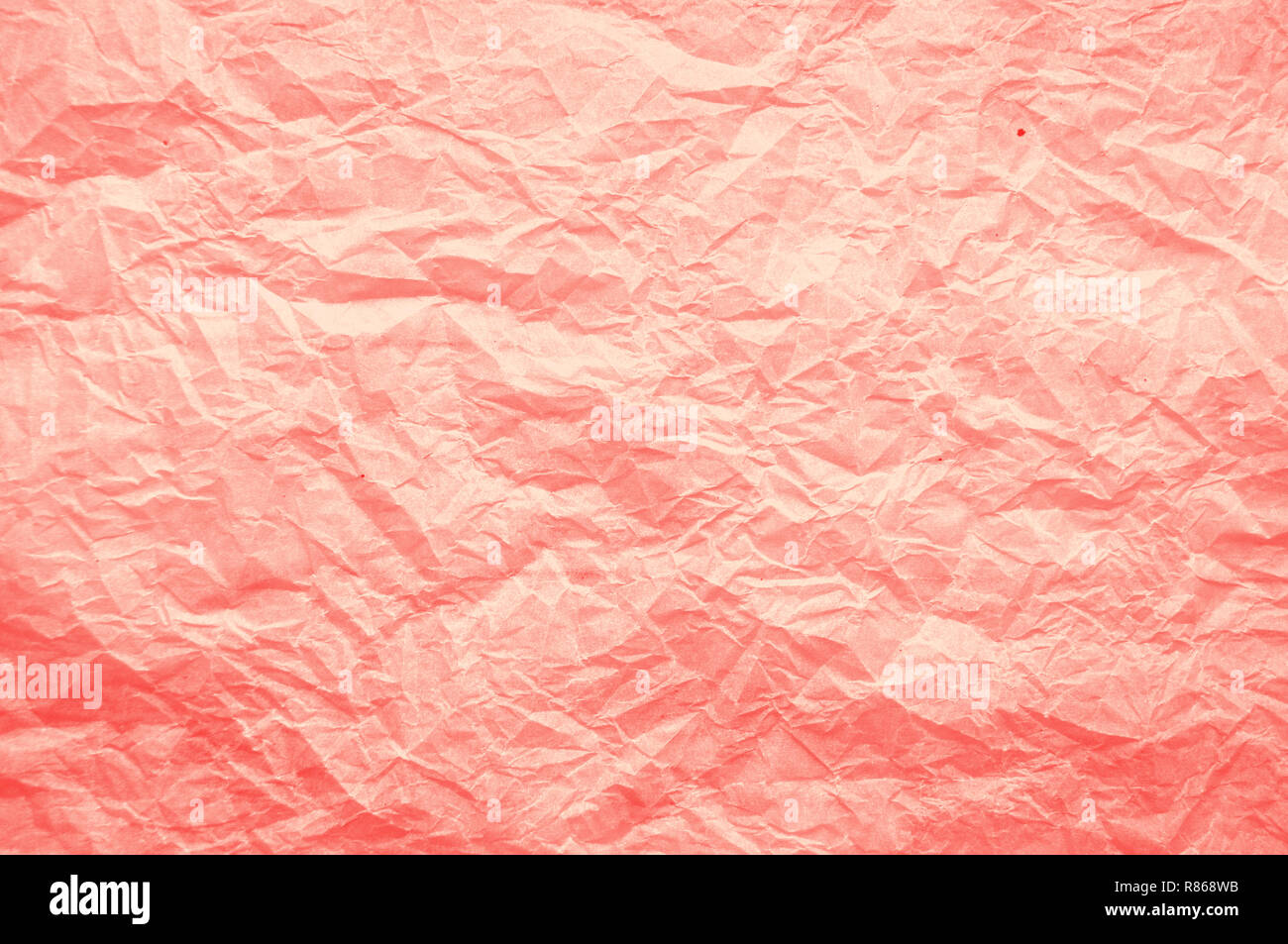 Fondo color coral fotografías e imágenes de alta resolución Alamy