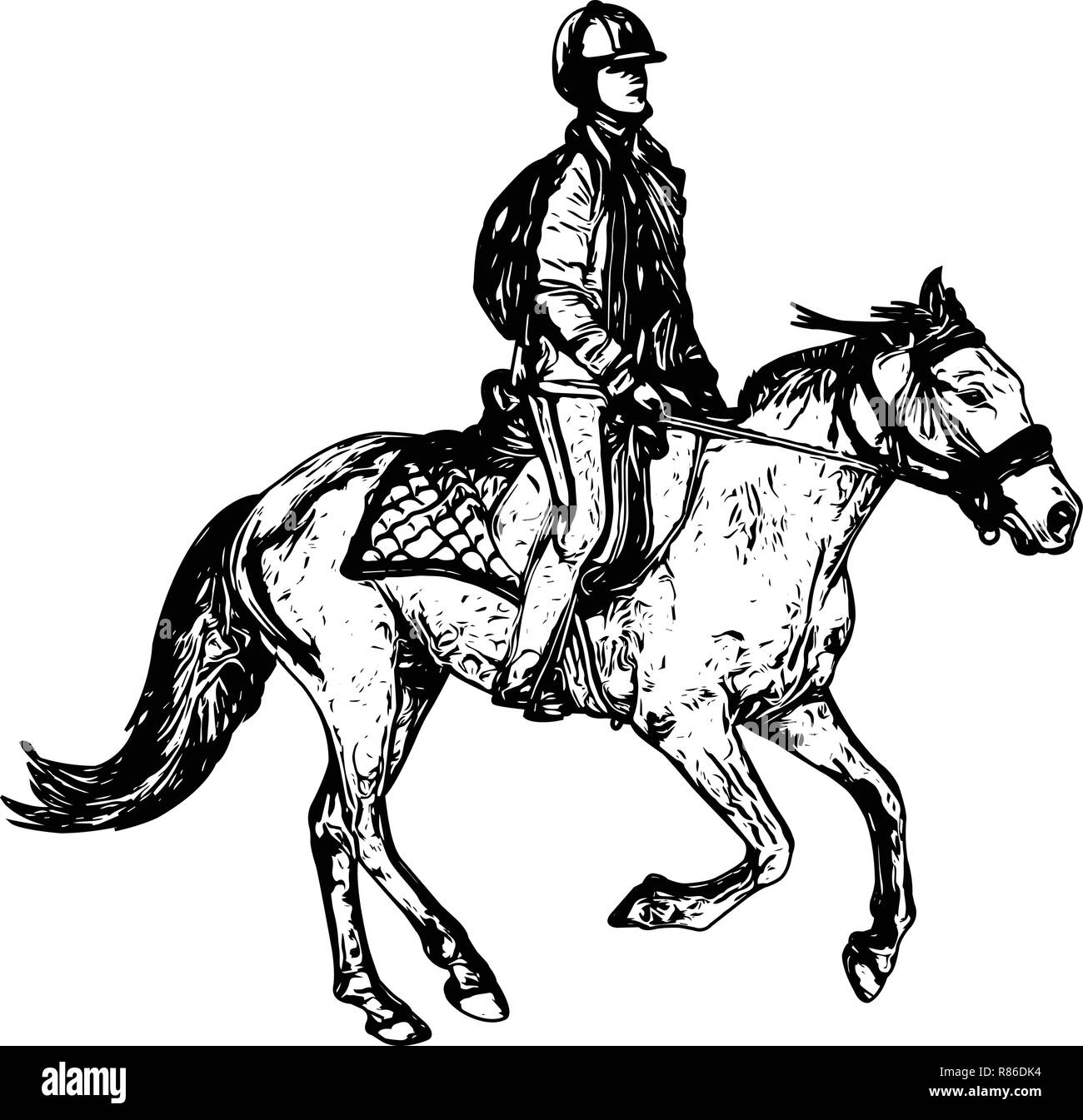 Equitación dibujo vectorial - Ilustración del Vector