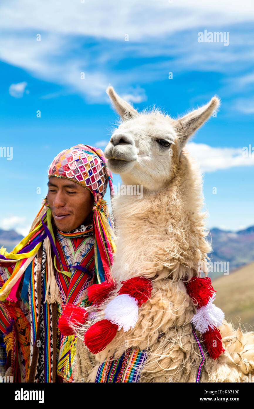 El hombre peruano con una llama blanca vestidas en trajes tradicionales en la montaña (Vinicunca Arcoiris), Perú Foto de stock