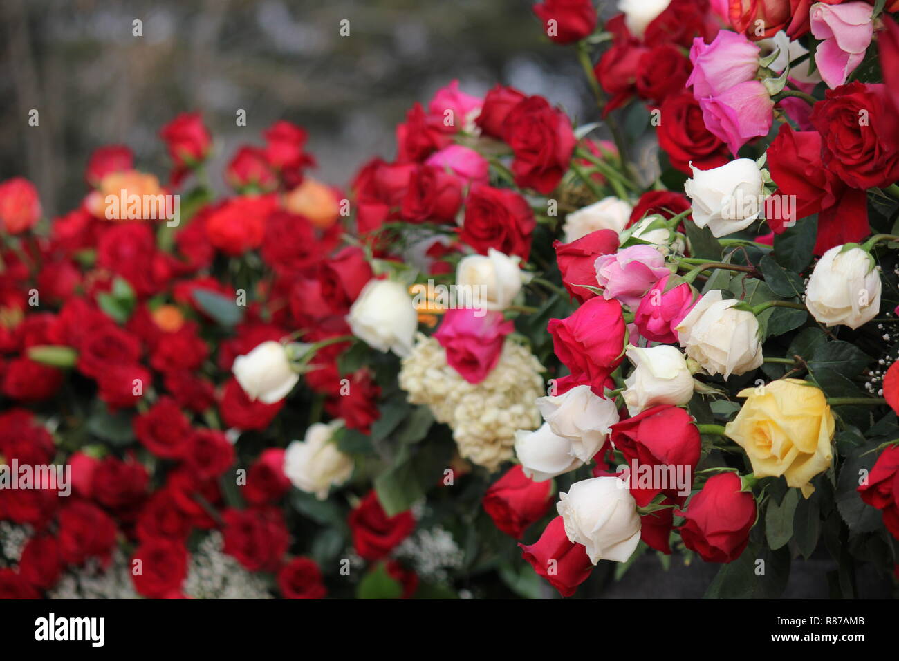 Bouquet de rosas y flores hermosas en el Santuario de Nuestra Señora de Guadalupe en Des Plaines Bouquet de rosas y flores hermosas en el Santuario de Nuestra Señora de Guadalupe en Des Plaines