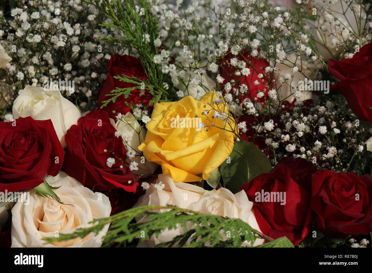 Precioso ramo de hermoso color rojo, blanco y amarillo de rosas y flores en  el Santuario de Nuestra Señora de Guadalupe en Des Plaines, Illinois,  EE.UU. Nuestra Señora de Guadalupe Fotografía de