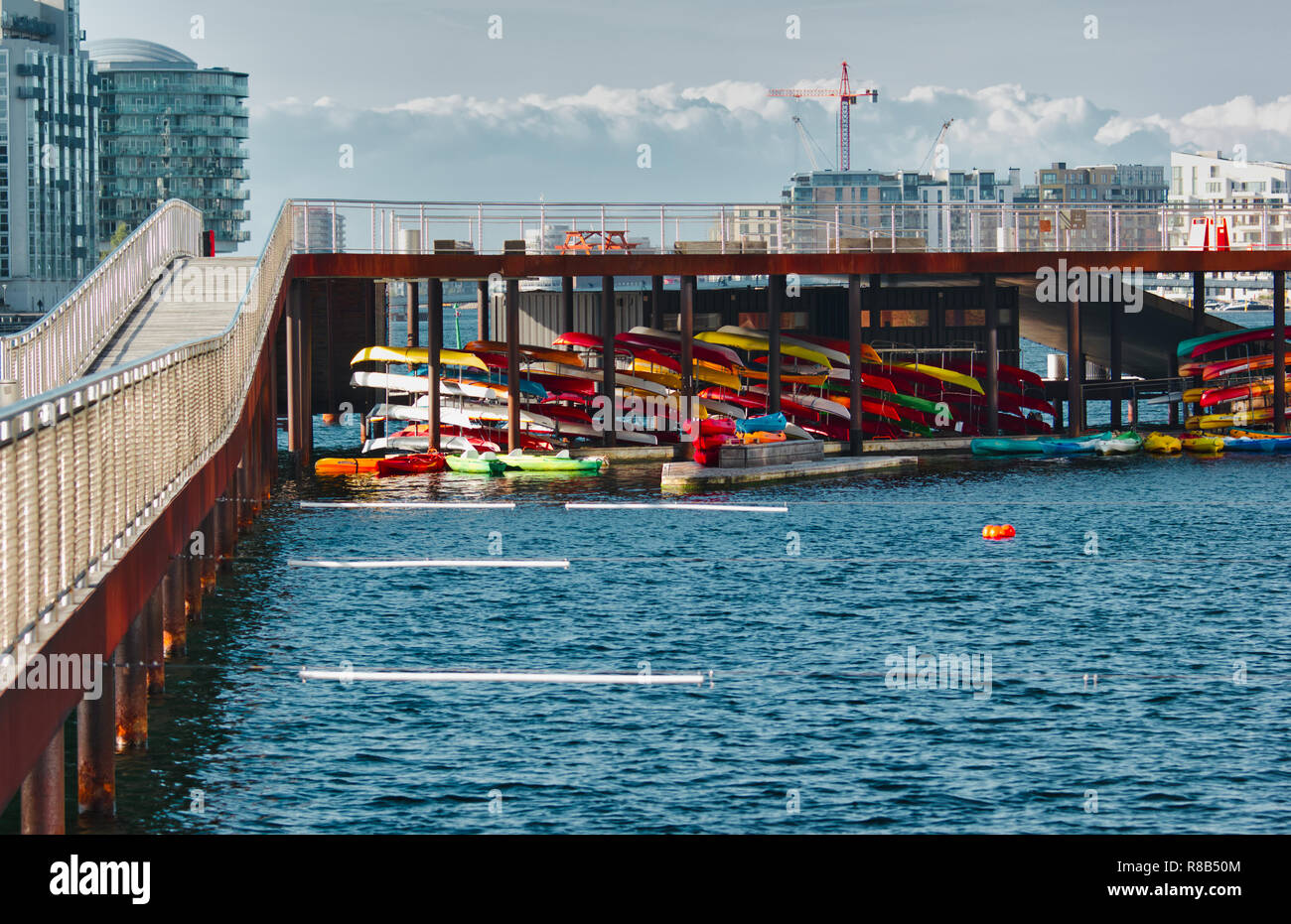 Kayaks, Kalvebod Brygge (Kalvebod Quay), Vesterbro, Copenhague, Dinamarca, Escandinavia Foto de stock