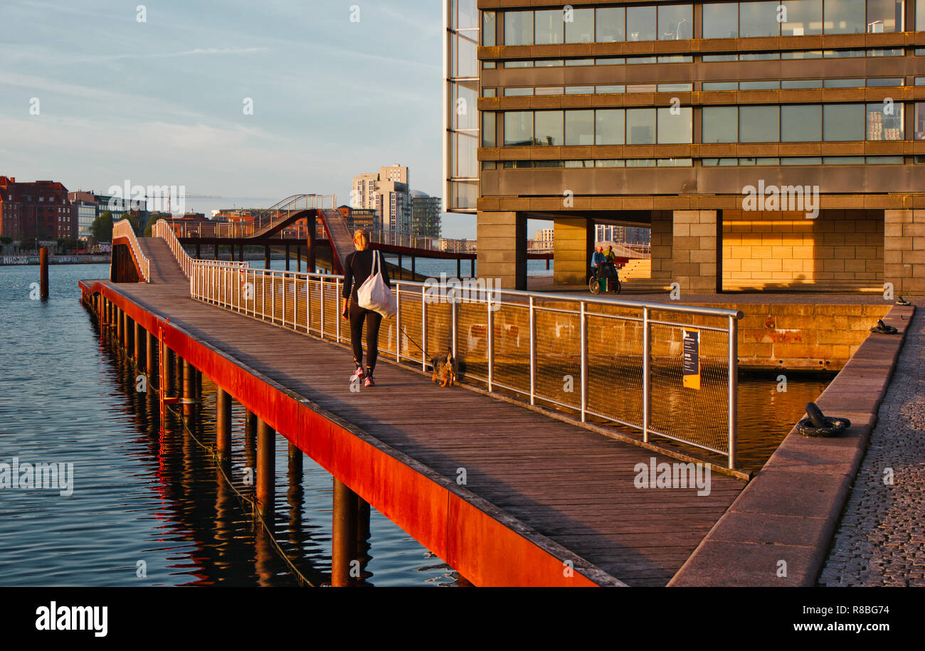 Mujer paseando a un perro en la pasarela de madera, Kalvebod Brygge (Kalvebod Quay), Vesterbro, Copenhague, Dinamarca, Escandinavia Foto de stock
