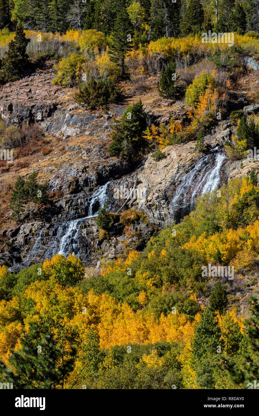 ASPEN árboles se tornan colores a Lundy Creek Falls en la Sierra Oriental - CALIFORNIA Foto de stock