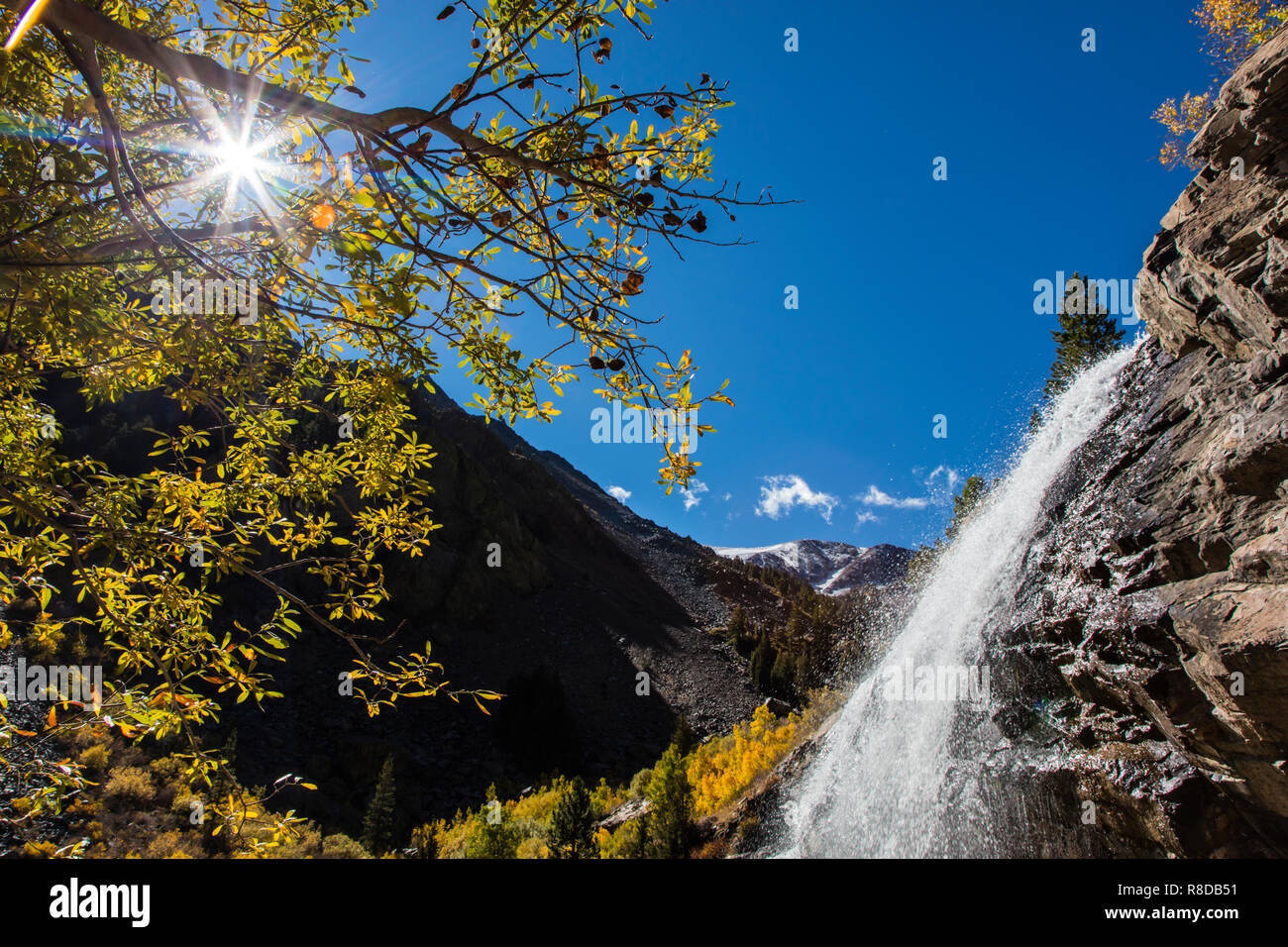 ASPEN árboles se tornan colores a Lundy Creek Falls en la Sierra Oriental - CALIFORNIA Foto de stock