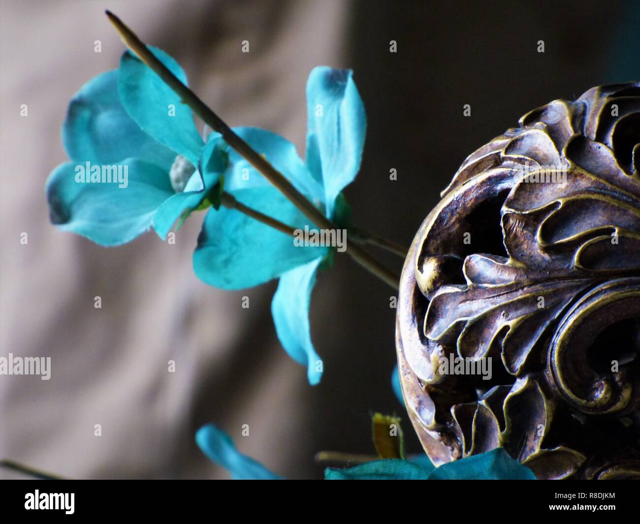 Flor turquesa fotografías e imágenes de alta resolución - Alamy