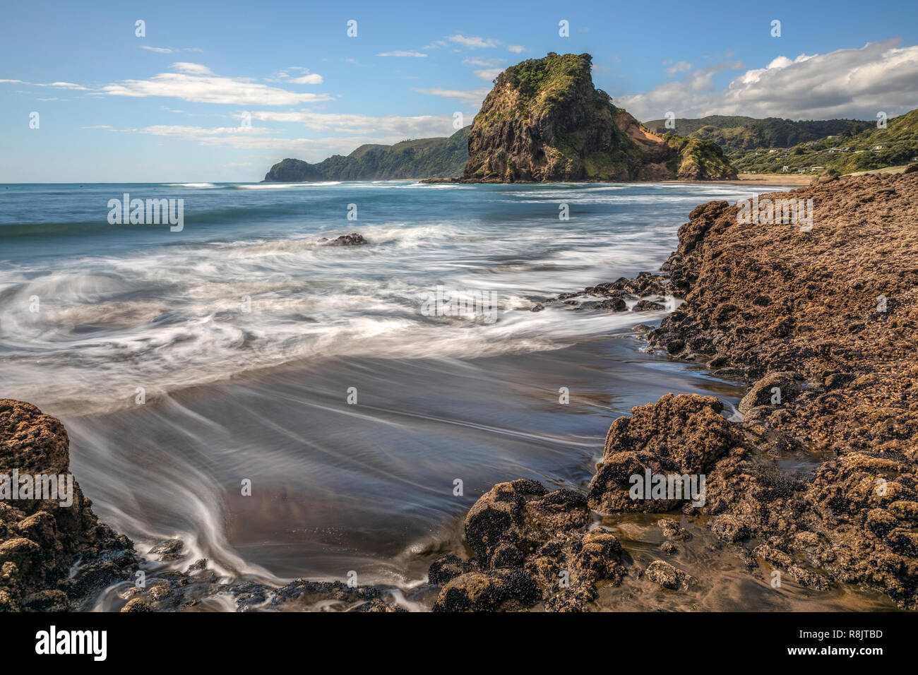 La playa de Piha, Auckland, Lion Rock, Isla del Norte, Nueva Zelanda Foto de stock