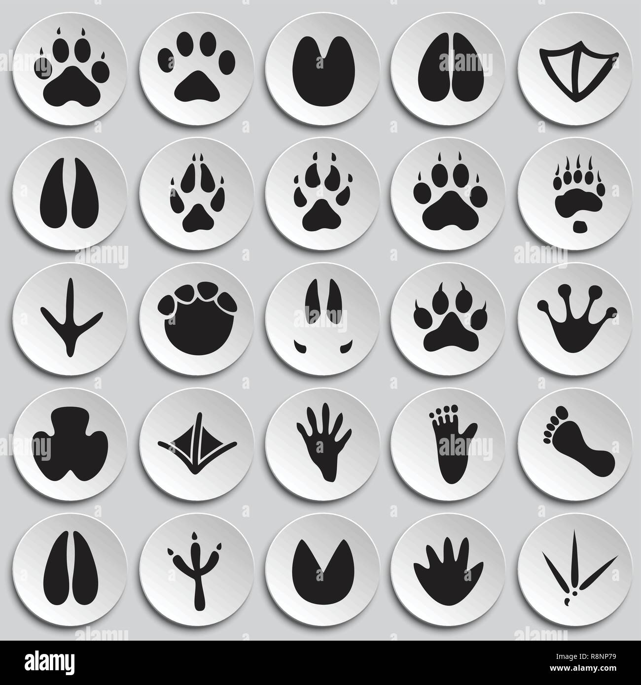 concepto de huella de pata de perro vectorial icono moderno gris