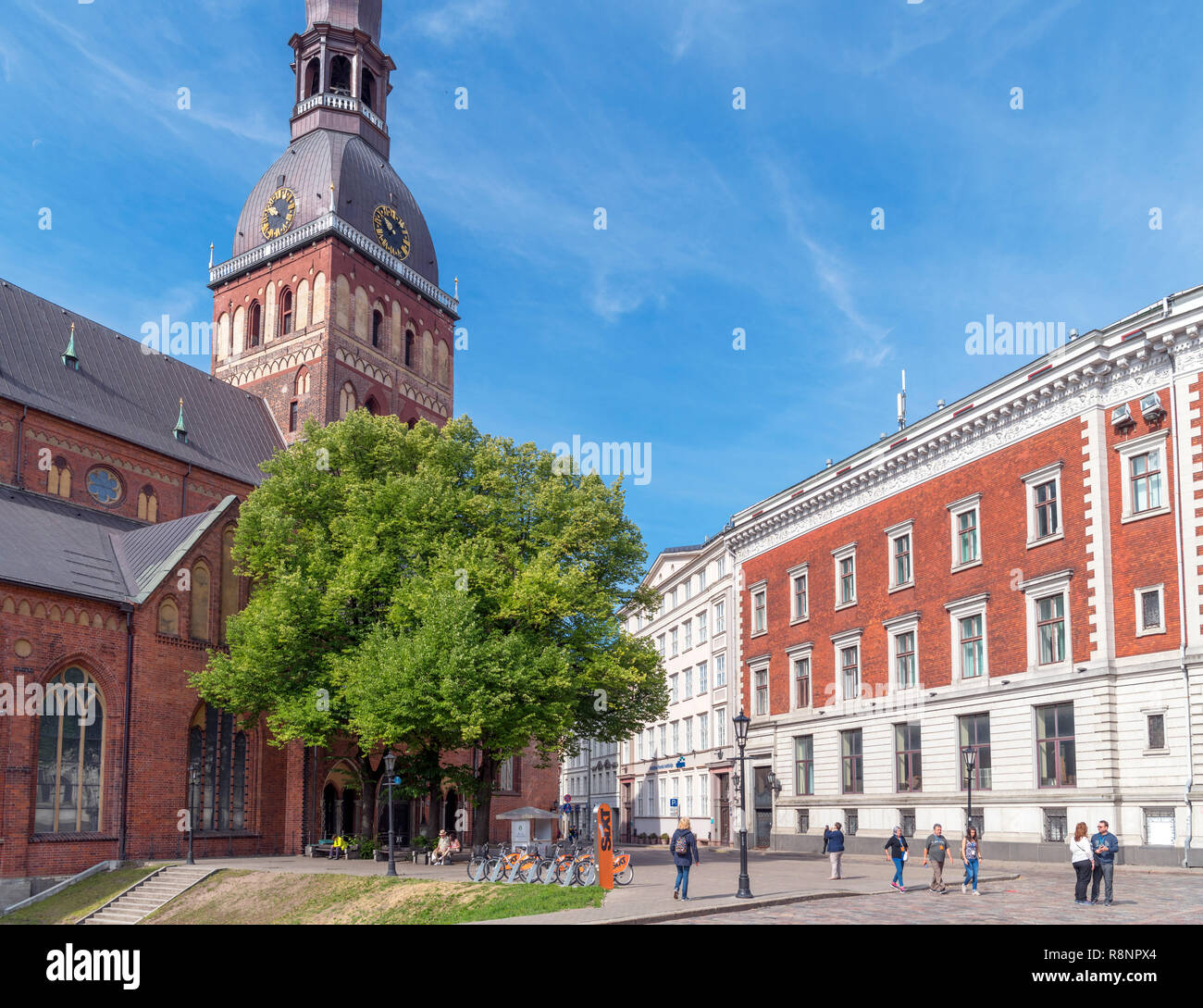 La Catedral de Riga Rigas (Doms), Doma Lakums (la plaza de la Catedral), Old Riga (Vecriga) de Riga, Letonia. Foto de stock