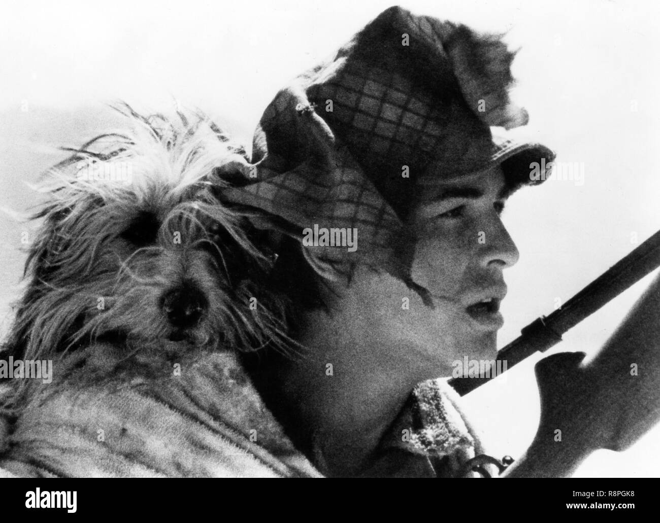 Don Johnson, "Un muchacho y su perro" (1975) LQ/JAF Productions Archivo de referencia # 33635 602 THA Foto de stock