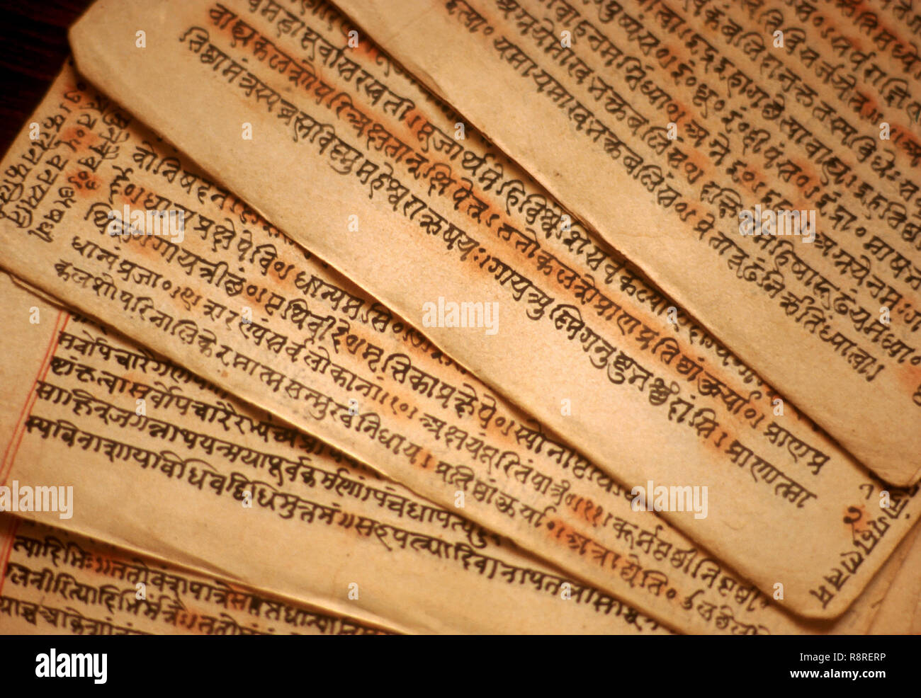 Antiguo manuscrito de Manu en Sánscrito indio ; antiguo manuscrito ; vedas ; India ; Asia Foto de stock
