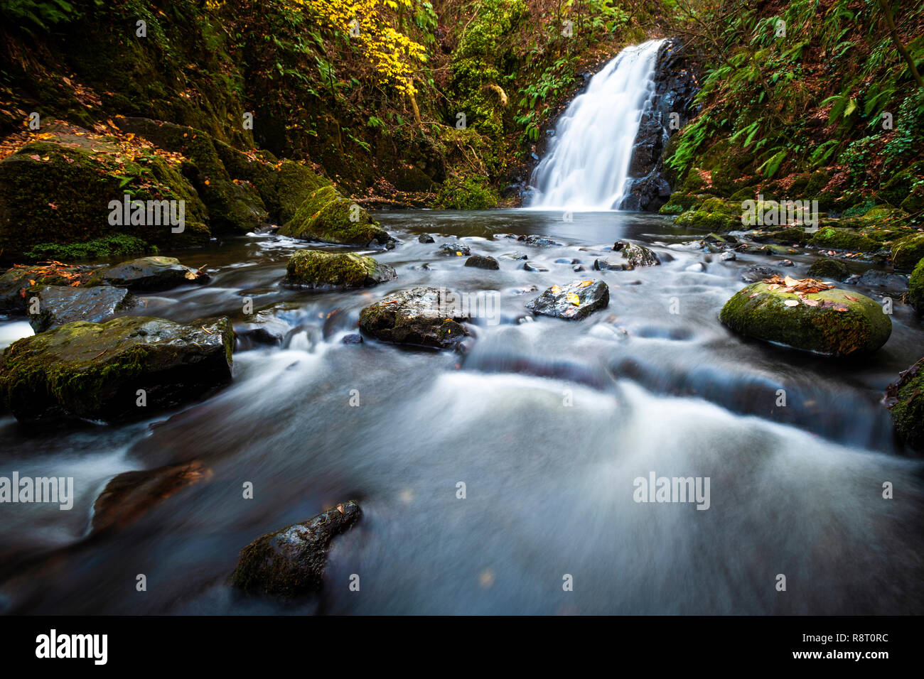 Cascada a Glenoe en el Condado de Antrim Foto de stock