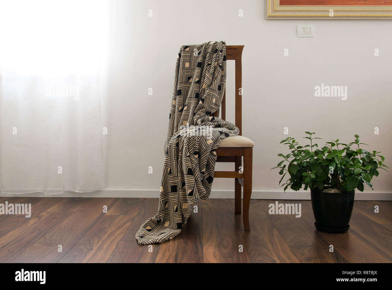 Vista frontal de la silla de madera, cuadros escoceses y macetas con  plantas Gardenia en el salón. Diseño de interiores, decoración de lujo en  piso de madera Fotografía de stock - Alamy