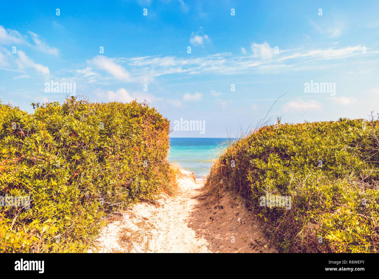 El parque natural de dunas costeras en el litoral de Ostuni en Salento en el mar Adriático Foto de stock