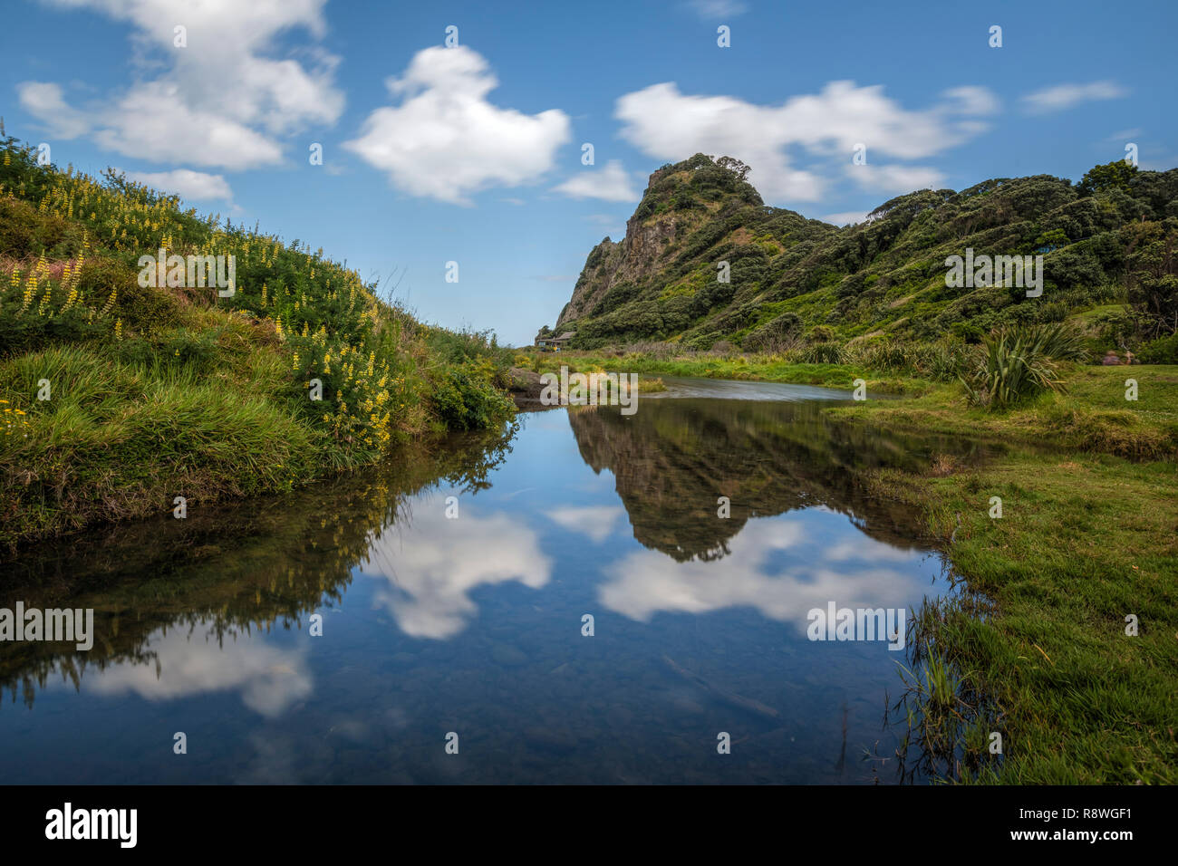 Playa de Karekare, Waitakere Ranges, Auckland, Isla del Norte, Nueva Zelanda Foto de stock