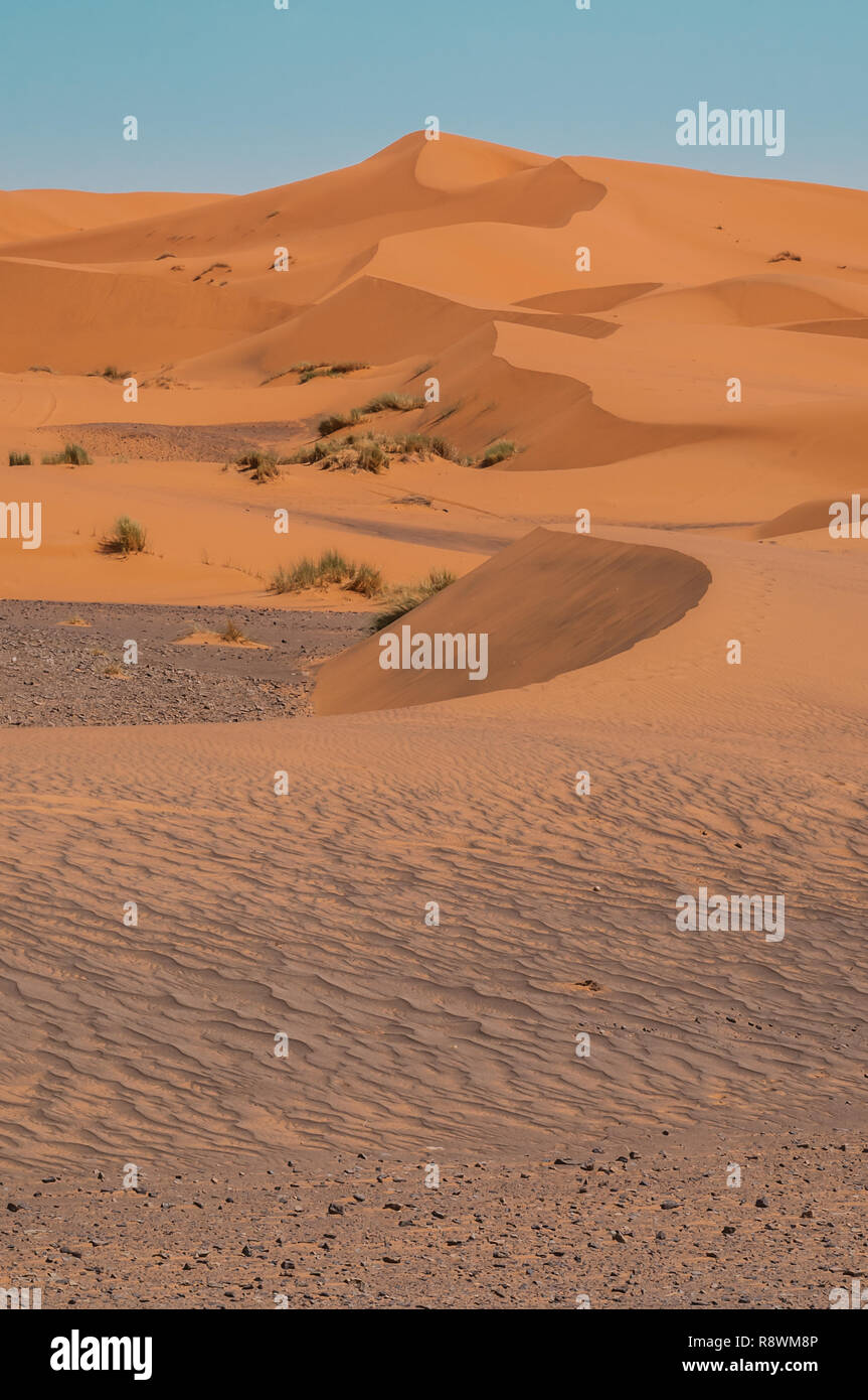 Una línea de dunas de arena naranja alzarse desde el suelo del desierto rocoso al borde Erg Chebbi : en Marruecos Foto de stock