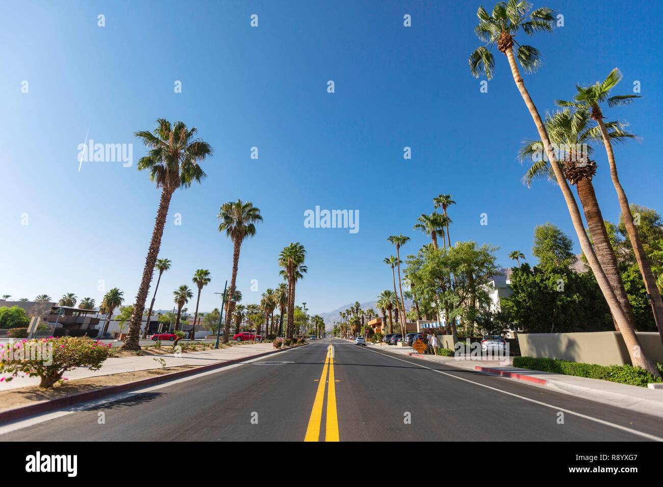 Estados Unidos Palm Springs, en la zona residencial de la calle Foto de stock