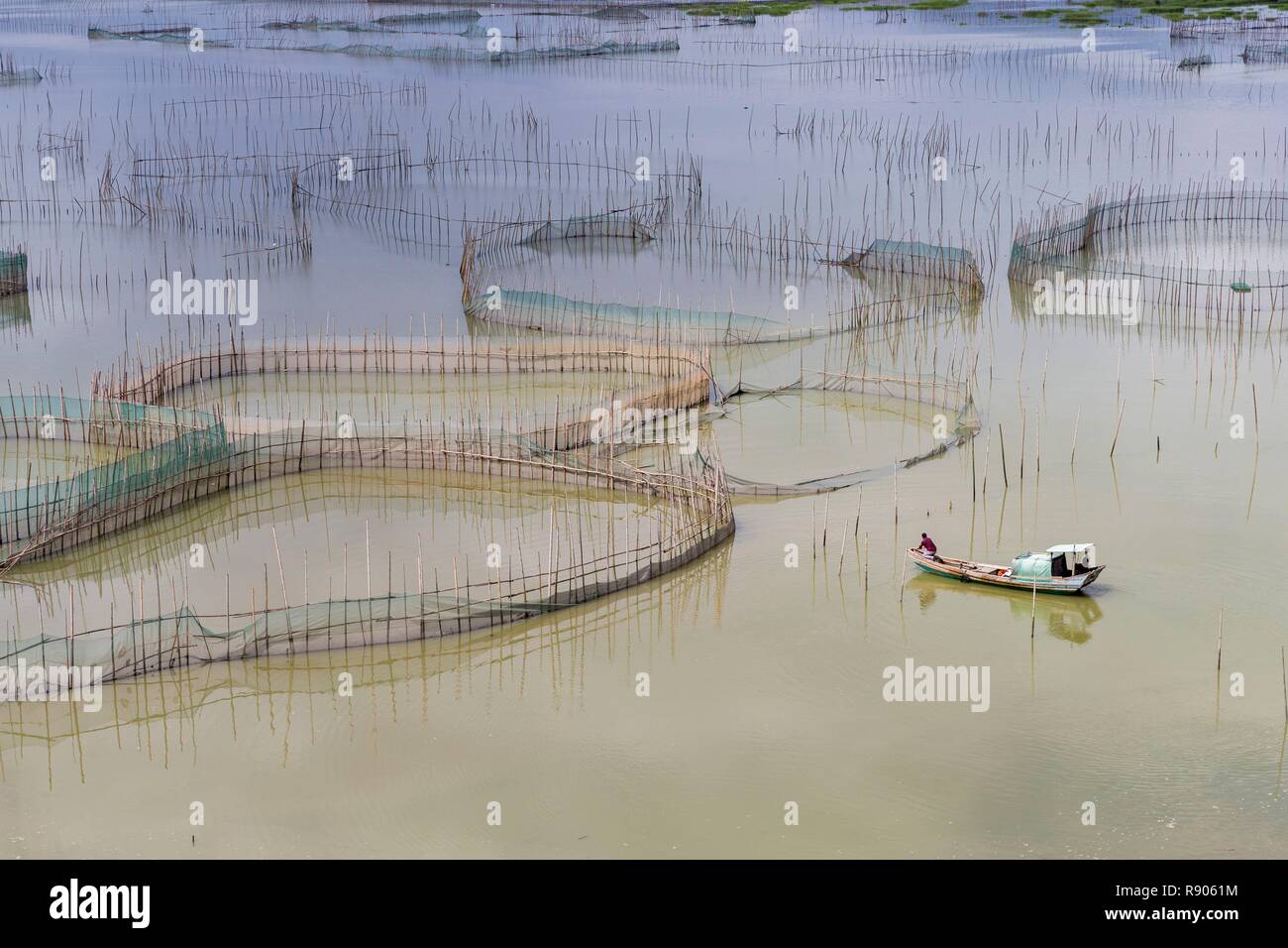 China, Provincia de Fujiang, Condado de Xiapu, jaulas con redes para la crianza de peces en mar abierto, el cultivo de peces Foto de stock