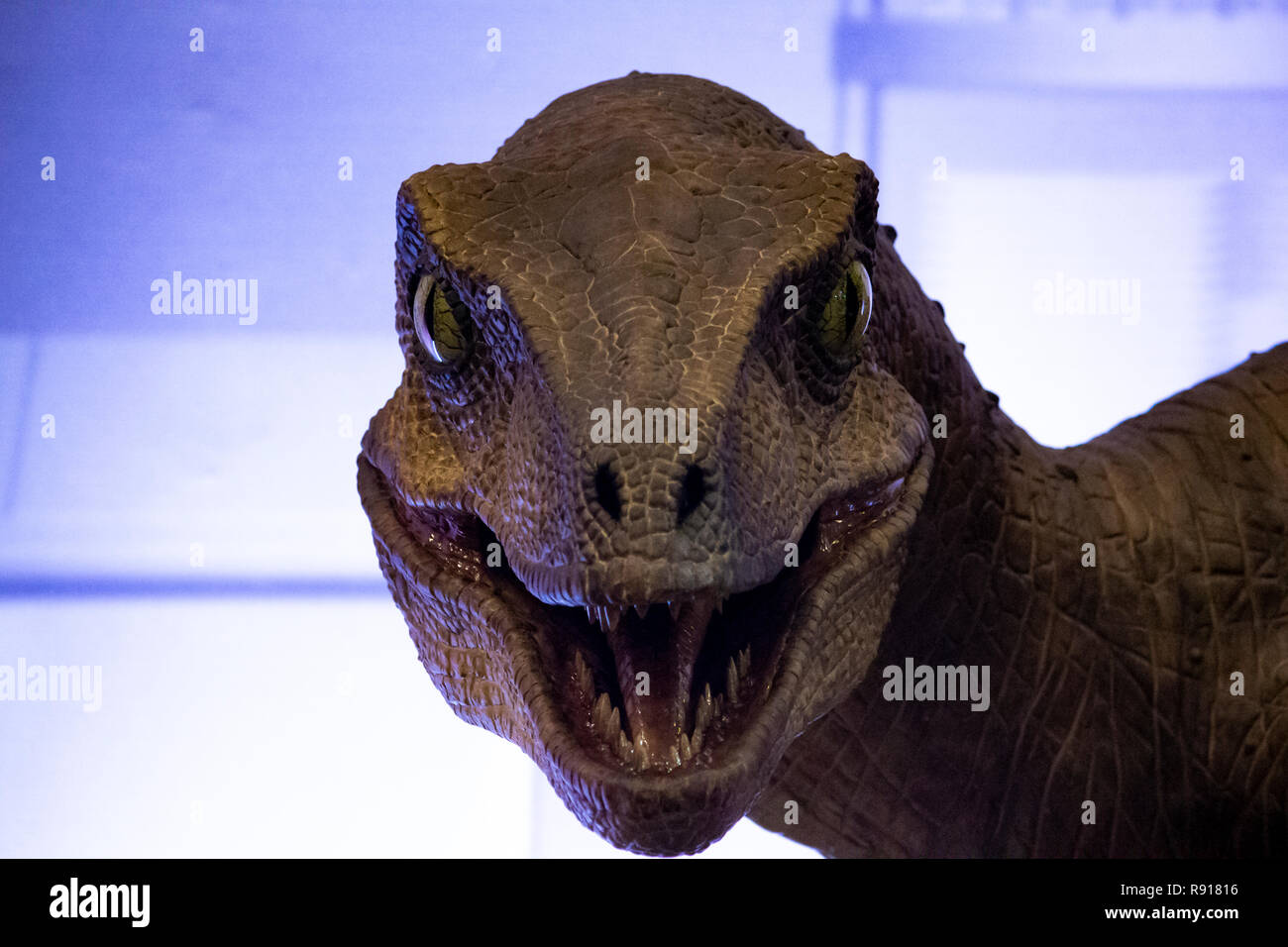 El Velociraptor de Jurassic Park Cocina escena Fotografía de stock - Alamy