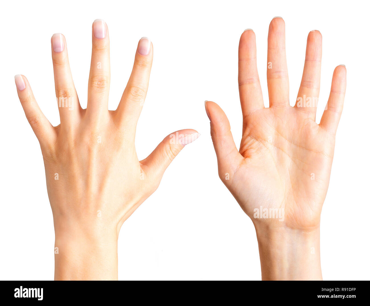 Conjunto de mujer manos mostrando cinco dedos y la palma Fotografía de  stock - Alamy