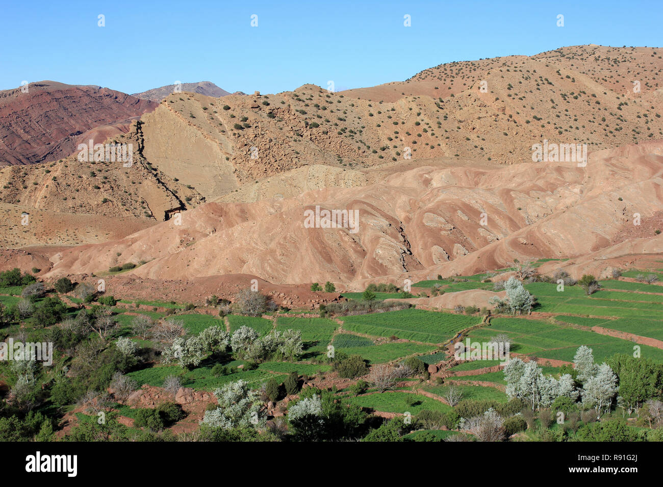 Los campos cultivados en Tijhza Tighza (aldea), Ouarikt valle, las montañas del Alto Atlas, Marruecos Foto de stock
