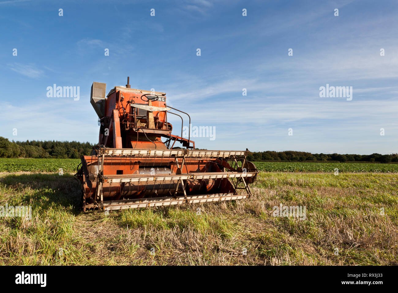 Un viejo vintage Allis Chalmers 1963 cosechadora Gleaner Foto de stock