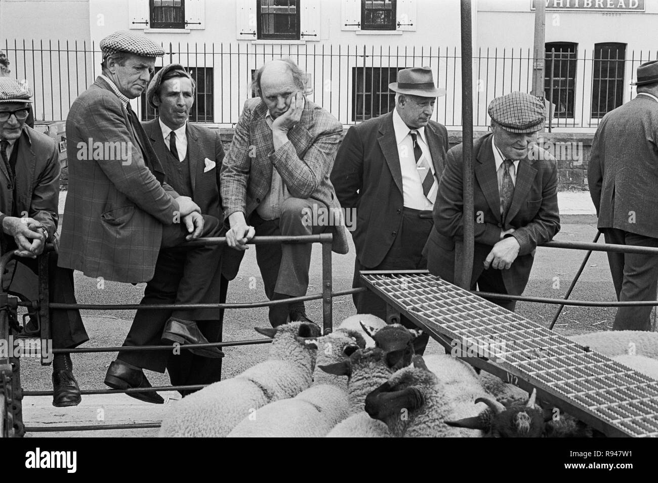 Granjeros en una venta de ovejas en Abergavenny, Monmouthshire, Gales, 1978 Foto de stock