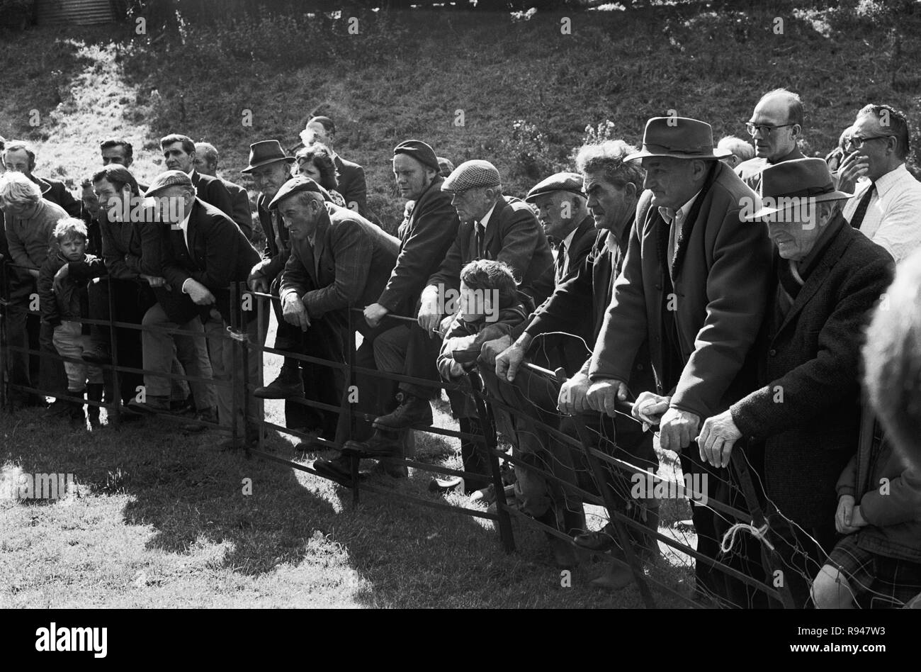 Venta Anual de ovejas, Abersychan, Torfaen, al sur de Gales, 1975 Foto de stock