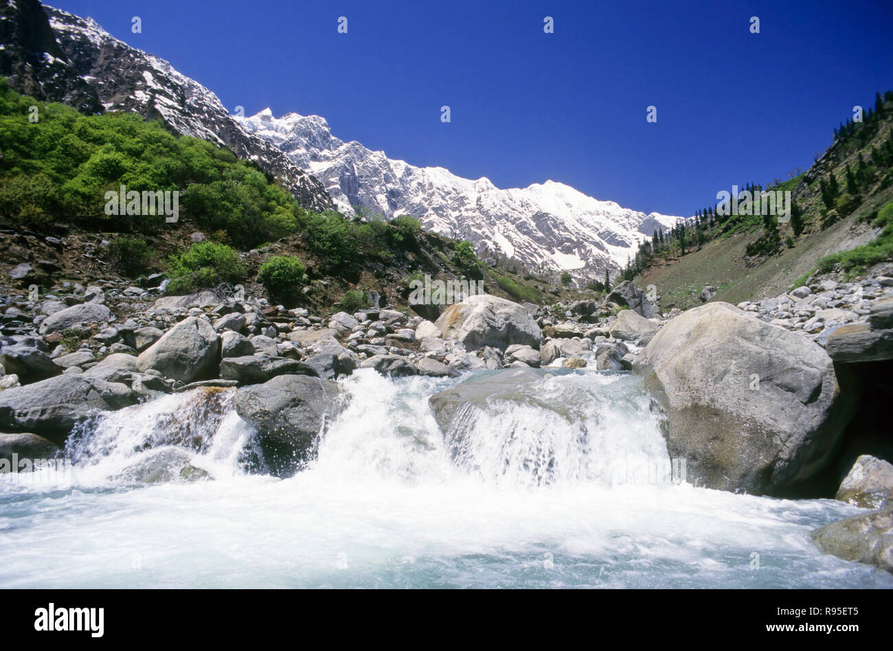 Río Beas, Himachal Pradesh, India Foto de stock