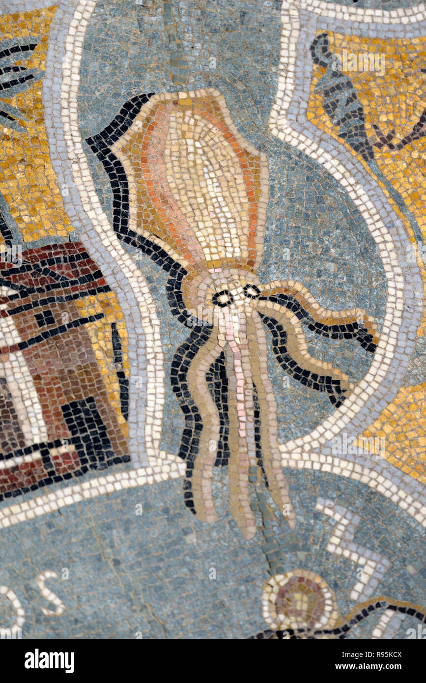 Piso de mosaico romano (c3rd-c4ª) de sepia y fondos marinos del Mediterráneo desde la antigua ciudad romana de Ammaedara Haidra Túnez Foto de stock