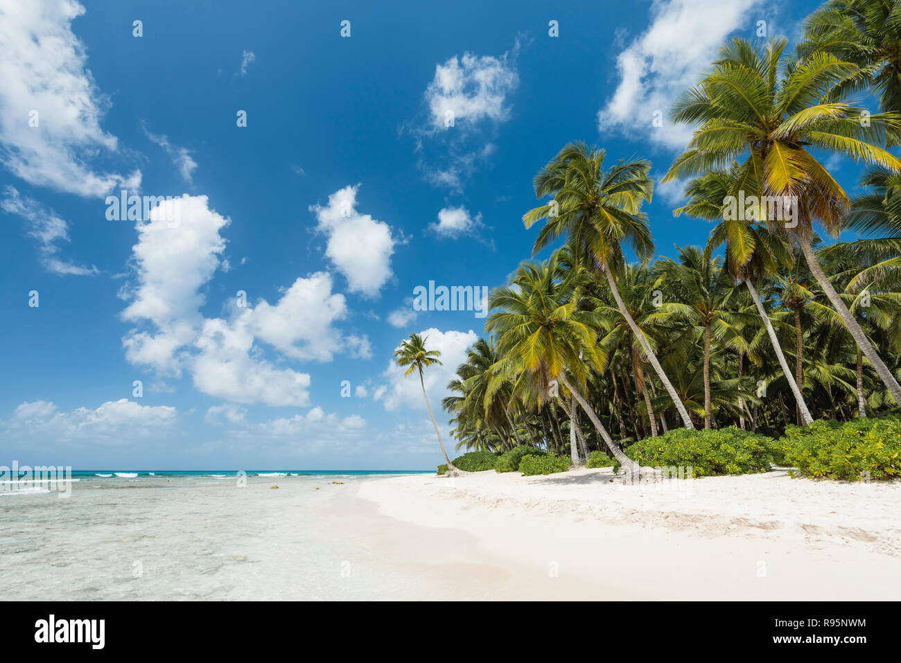 Traumstrand der Karibik, playa de ensueño del Caribe Foto de stock