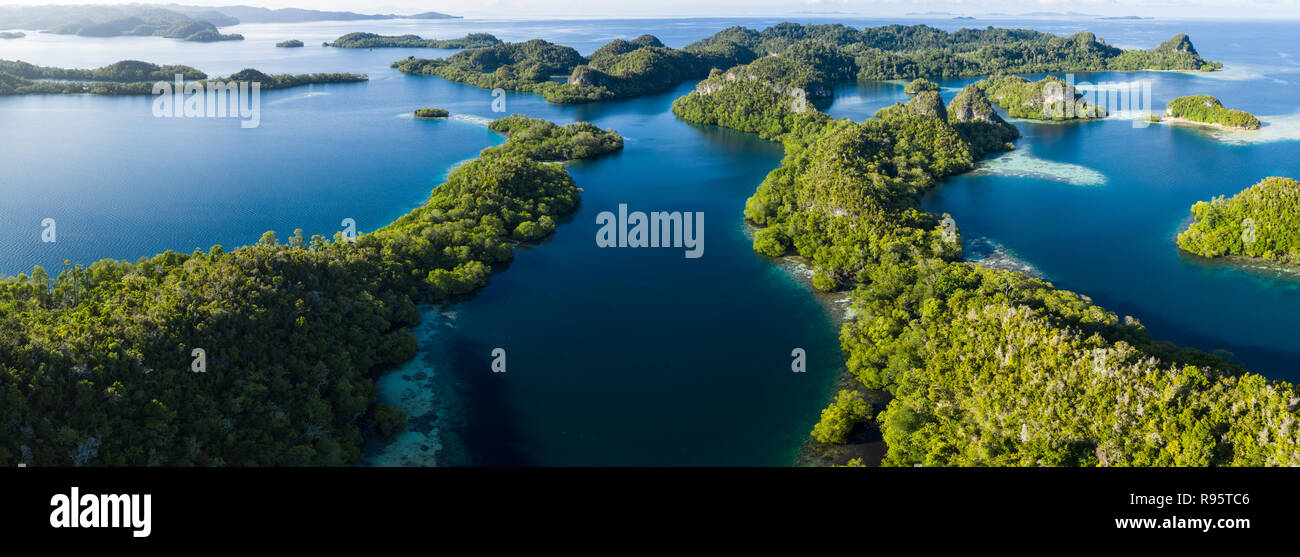 Remotas islas de piedra caliza en Raja Ampat, Indonesia, están rodeadas de arrecifes de coral saludables. Esta región es conocida como el "corazón del Triángulo de Coral". Foto de stock