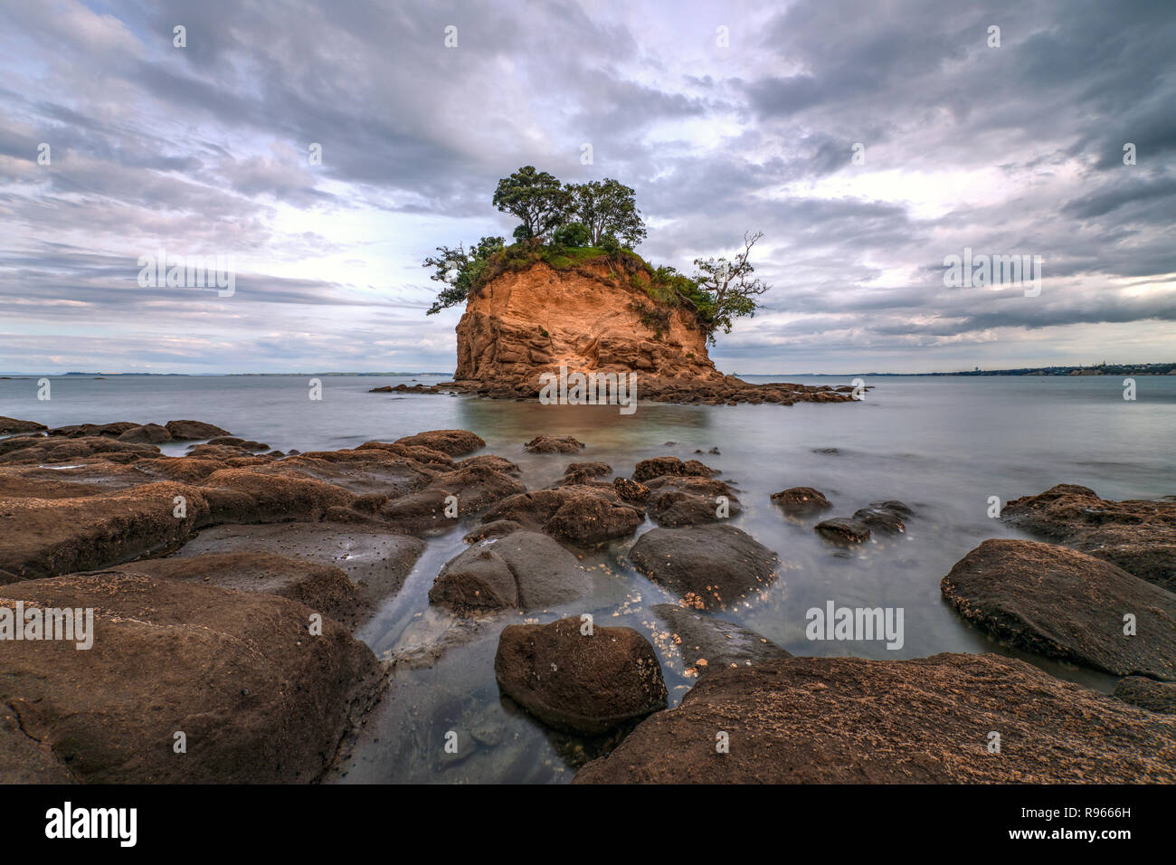 Waiake Bay, Auckland, Isla del Norte, Nueva Zelanda Foto de stock