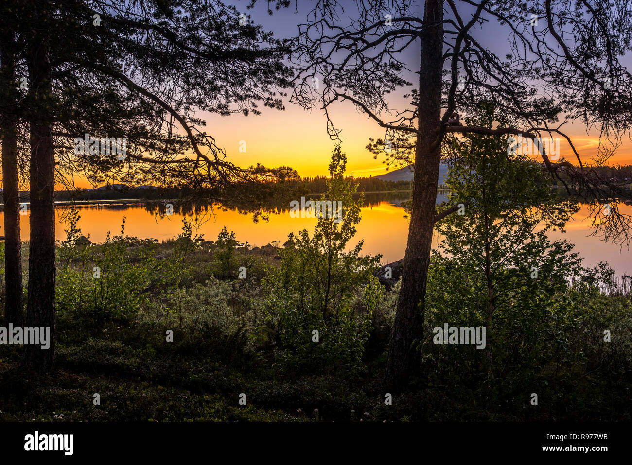 Sol de Medianoche en un lago en Arjeplog, Suecia Foto de stock