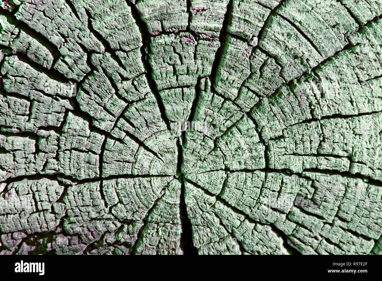 La textura de madera vieja con patrones naturales. Sección transversal del árbol viejo. La textura de madera oscura. fondo natural plantilla vacía. Foto de stock