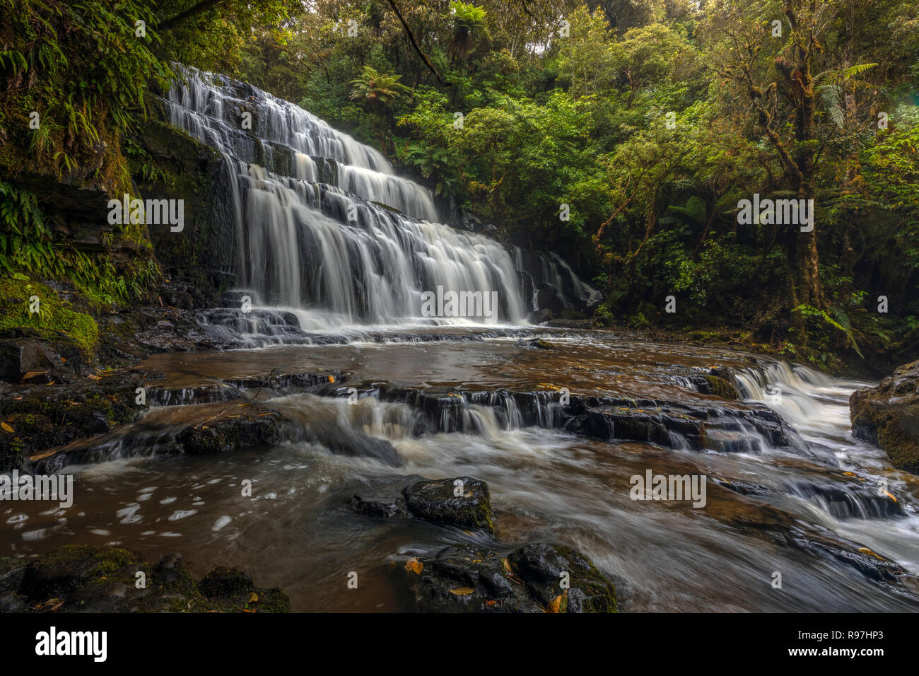 Catlins Purakaunui Falls, Forest Park, Isla del Sur, Nueva Zelanda Foto de stock