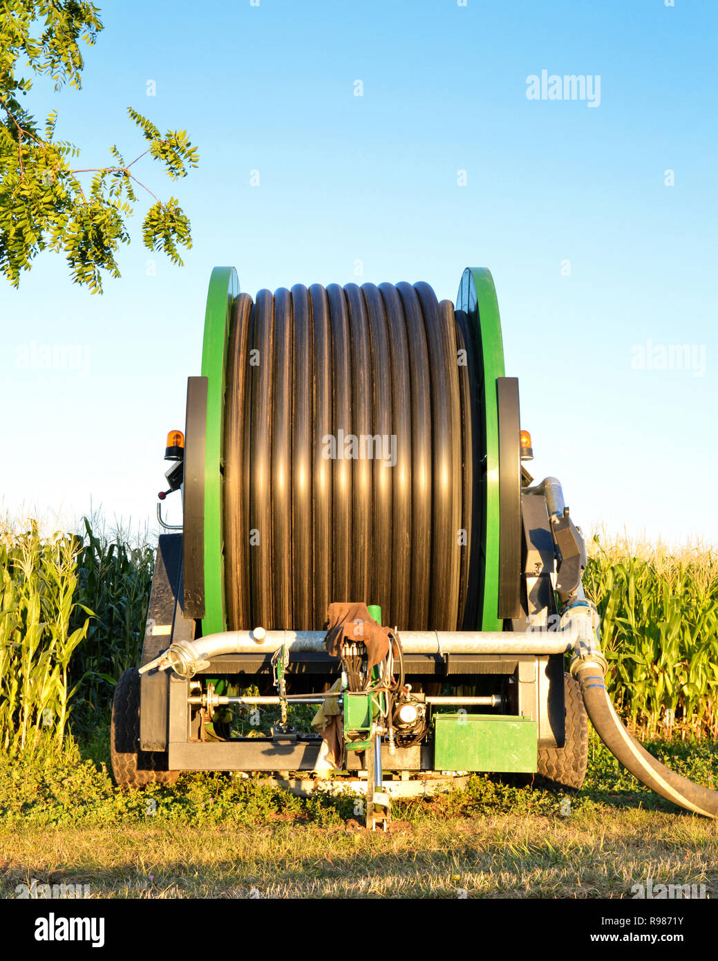 Sistema de riego agrícola con un gran carrete de manguera, para el cultivo  de maíz durante el verano al amanecer Fotografía de stock - Alamy