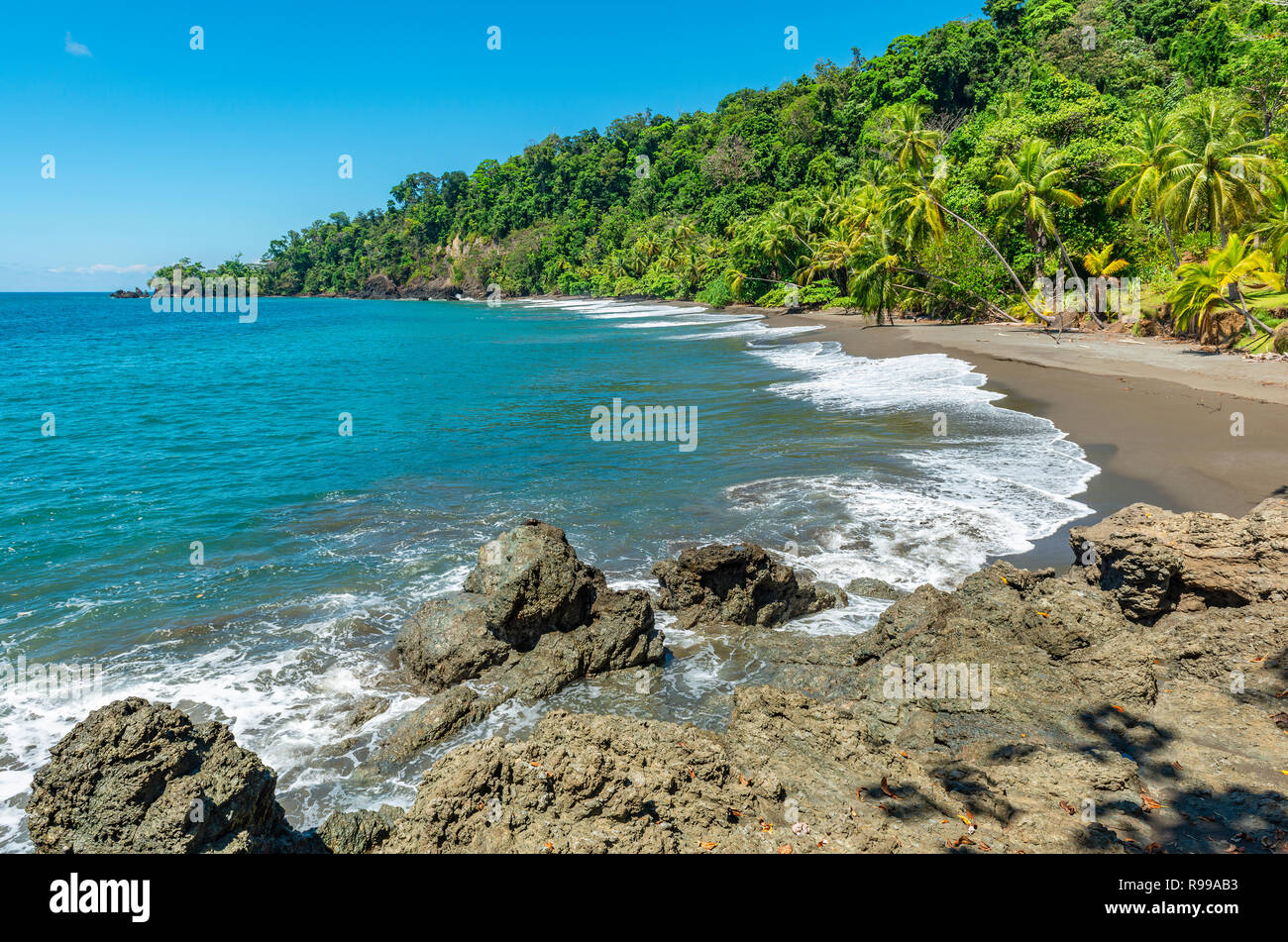 Playa tropical con palmeras a lo largo de la costa del Pacífico de Costa Rica, dentro del Parque Nacional Corcovado, en América Central. Foto de stock